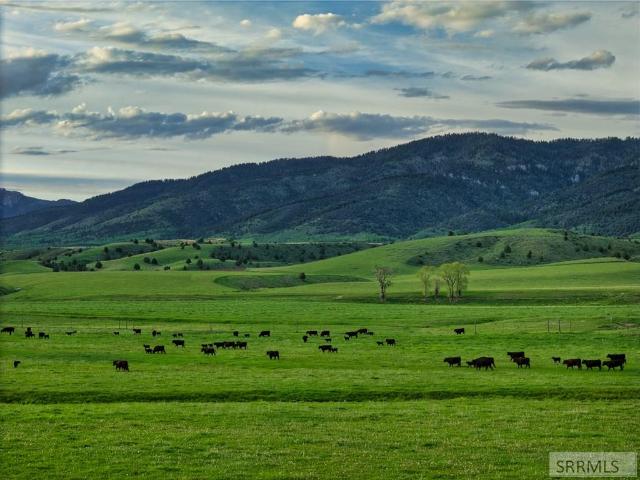 Land for sale in Swan Valley, Idaho