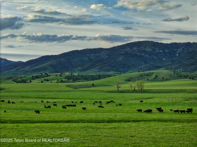 Land for sale in Swan Valley, Idaho