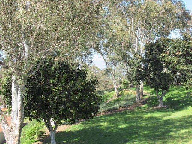 Condo for sale in Laguna Woods, California