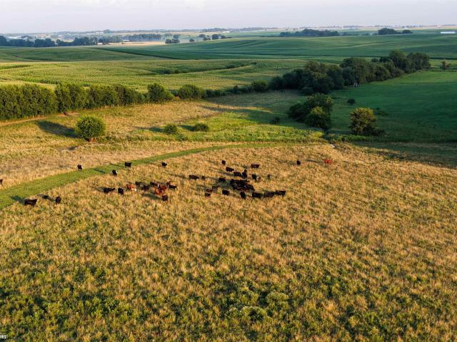 Farm for sale in Iowa City, Iowa