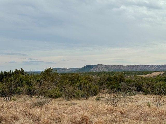 Land for sale in Robert Lee, Texas