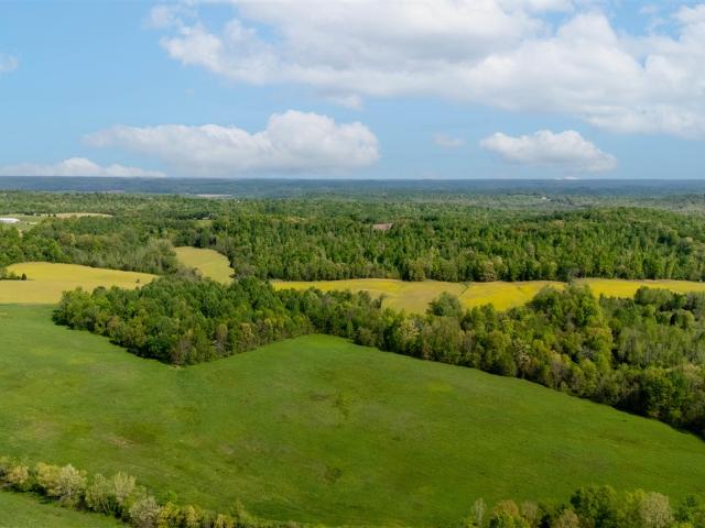Land for sale in Bowling Green, Kentucky
