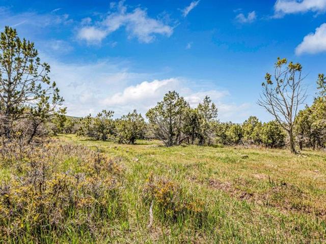 Farm for sale in Mesa, Arizona