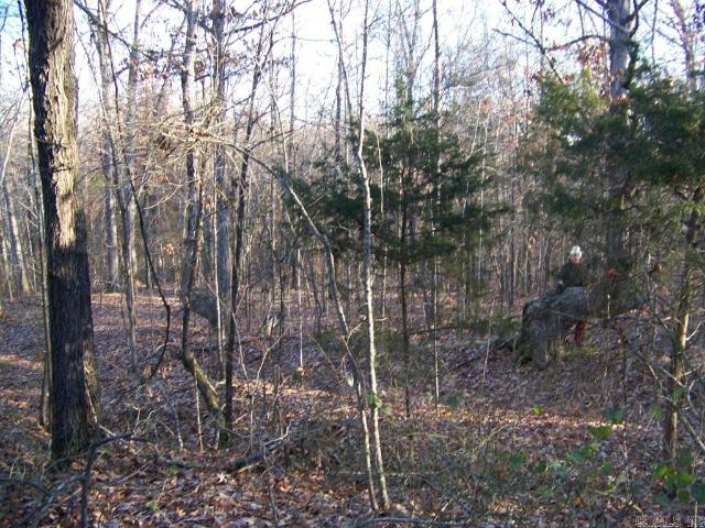 Land for sale in Ark