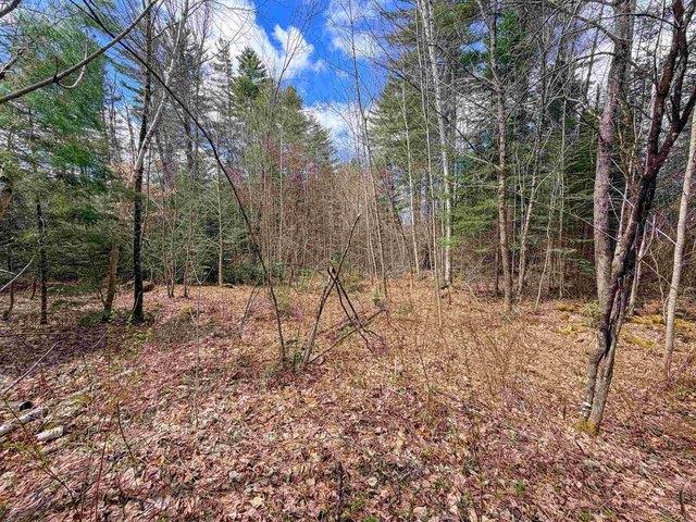 Land for sale in Concord, Vermont