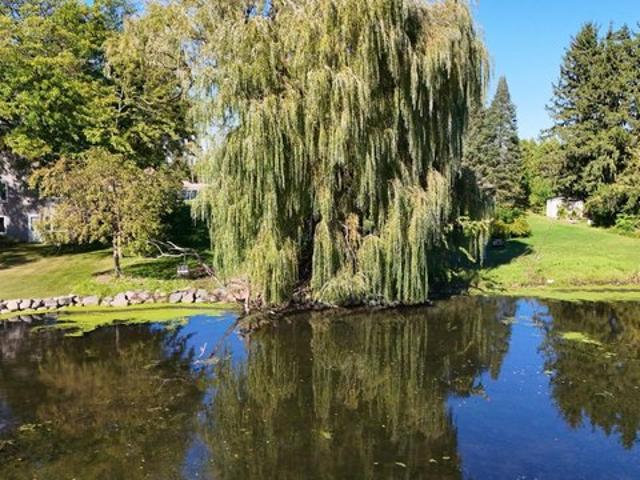 Land for sale in Madison, Wisconsin