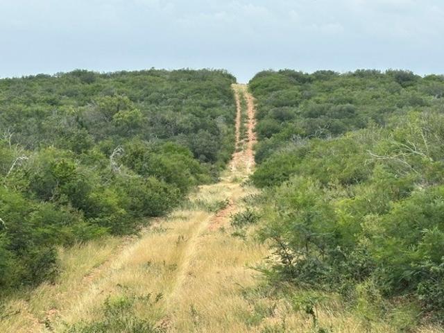 Land for sale in Medina, Texas
