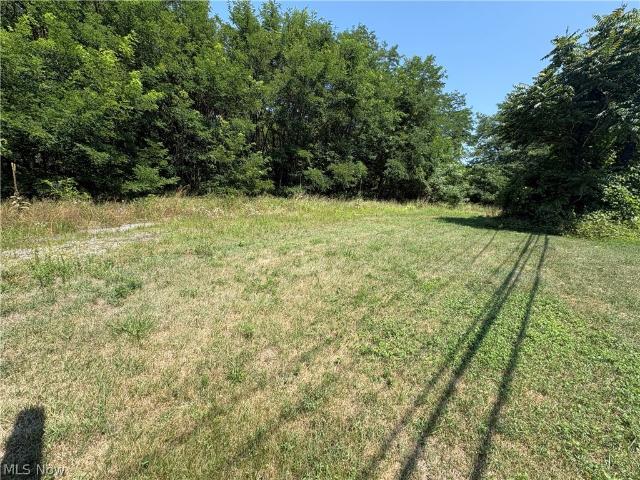 Land for sale in Madison, Ohio