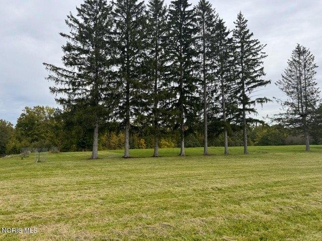Land for sale in Bryan, Williams County