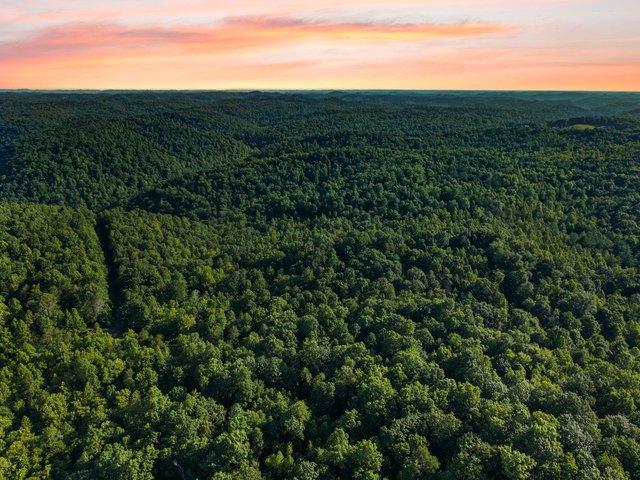 Land for sale in Ravenna, Kentucky