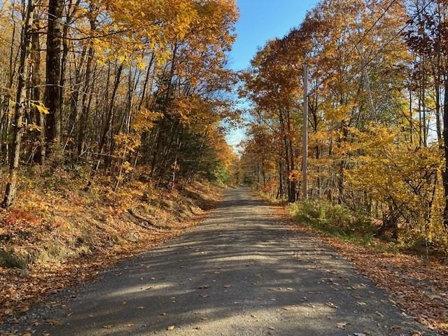 Land for sale in Bernardston, Massachusetts