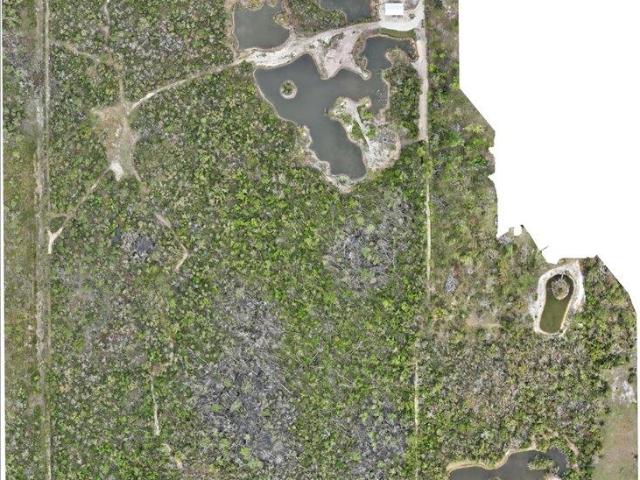 House for sale in Steinhatchee, Florida