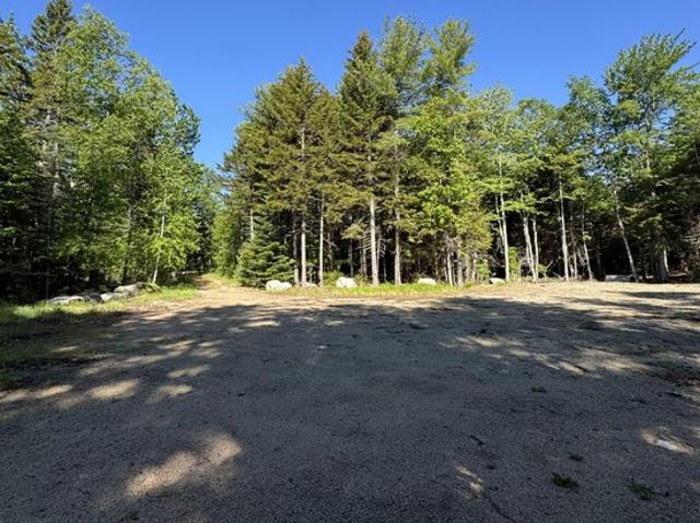 Land for sale in Sedgwick, Maine