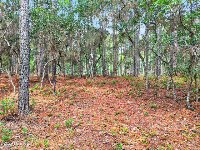 Land for sale in Bolivia, North Carolina