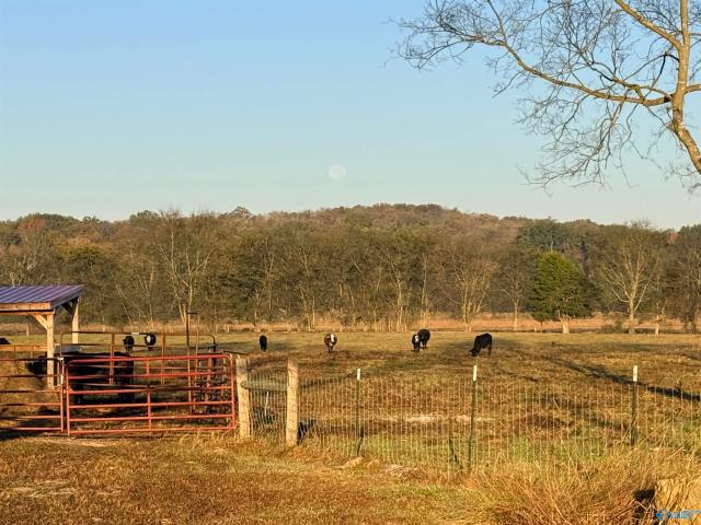 Land for sale in Alabama