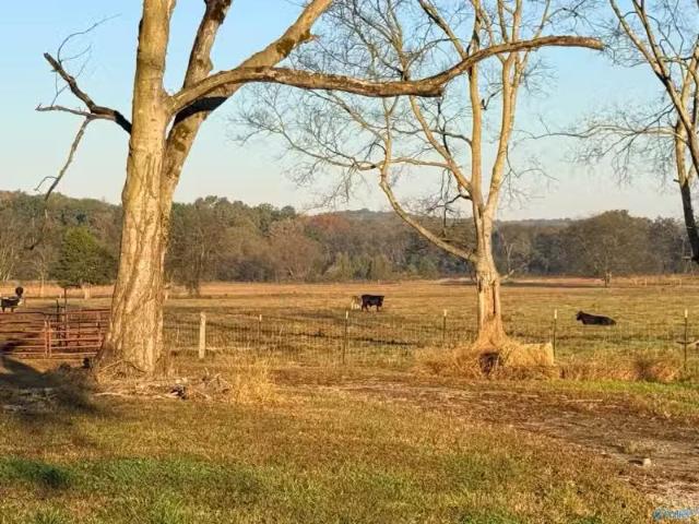 House for rent in Danville, Alabama