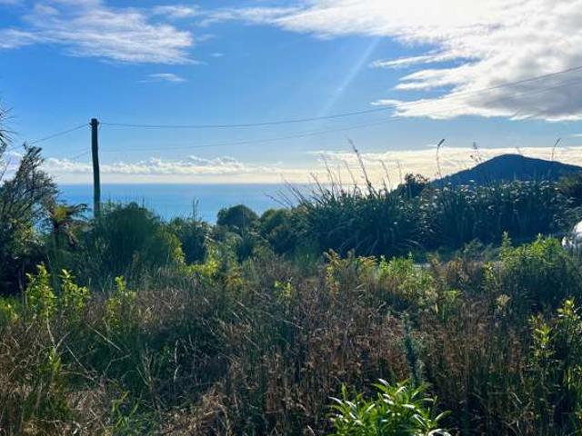 Land for sale in Millerton, West Coast