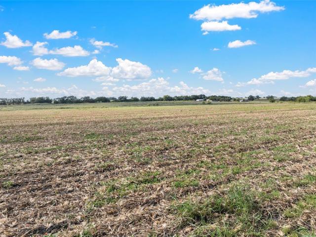 Land for sale in Milam, Texas