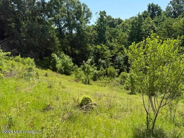Land for sale in Natchez, Mississippi