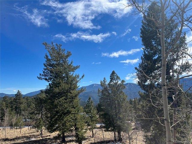 House for sale in Bailey, Colorado