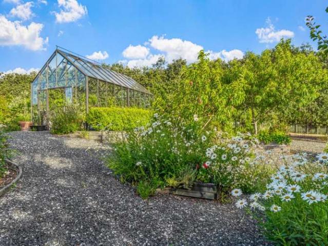 Property for sale in Matakana