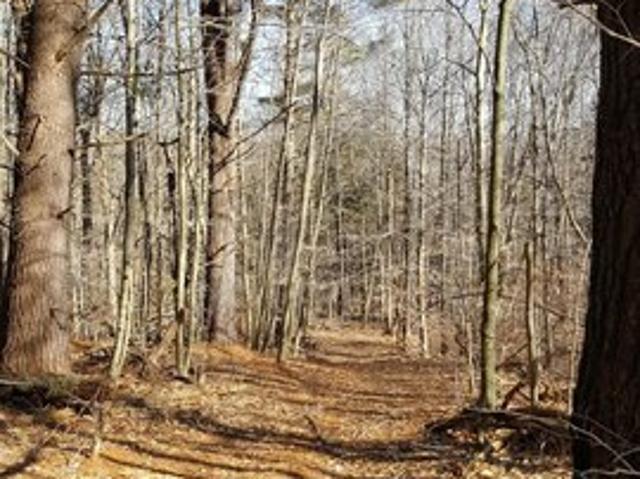 Land for sale in Colebrook, Connecticut