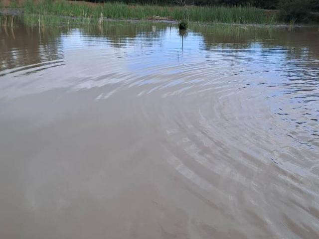 Farm for sale in Potgietersrus, Limpopo