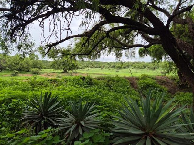 Land for sale in North West