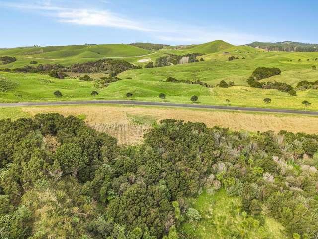 Property for sale in Kaiwaka, Northland