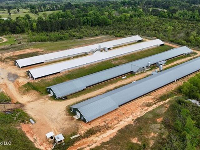Farm for sale in Collins, Mississippi