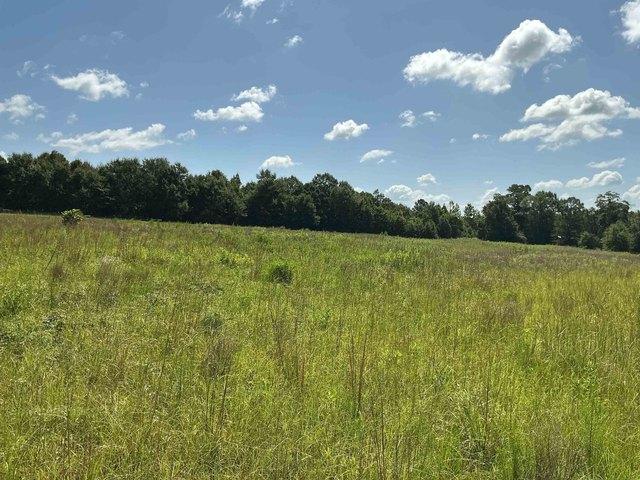 Land for sale in Opp, Alabama