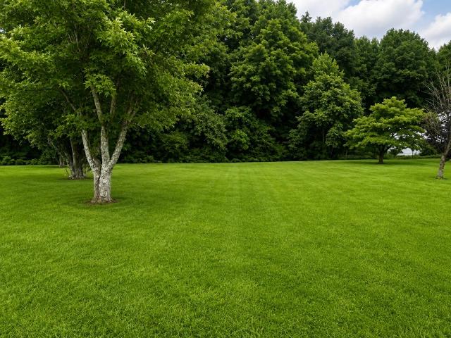 Land for sale in Tennessee