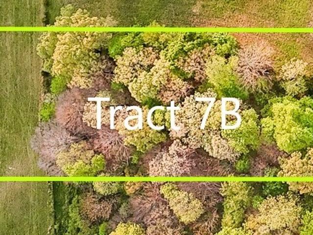 Land for sale in Tennessee