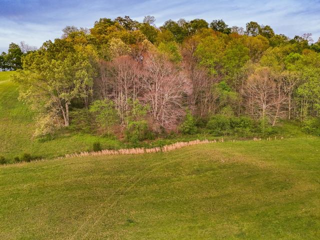 Land for sale in Tennessee