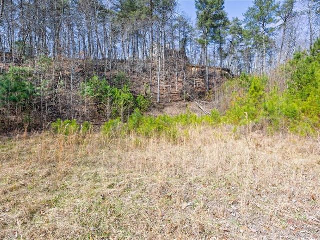 Land for sale in Bartow, Georgia