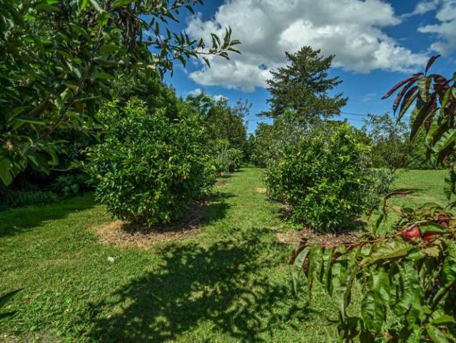 Property for sale in Omahu
