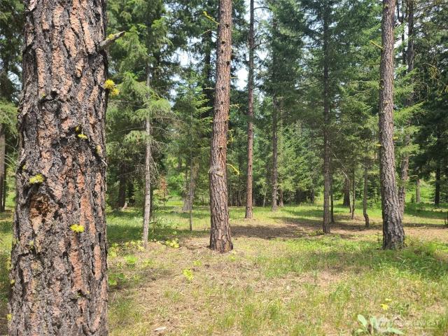 Land for sale in Cle Elum