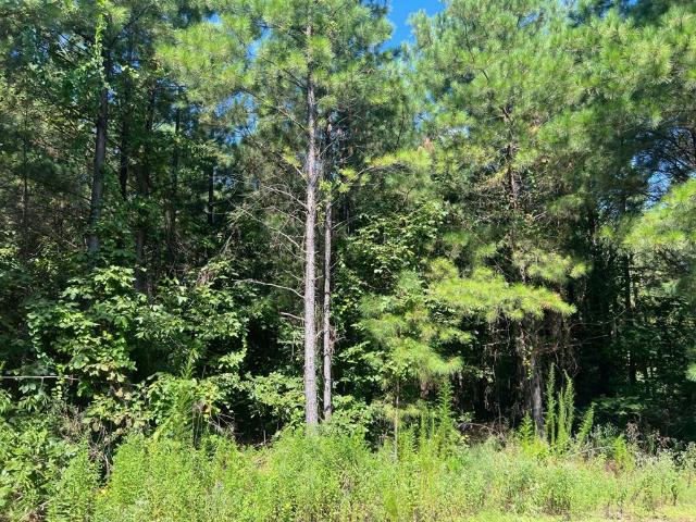 Land for sale in Broken Bow, Oklahoma