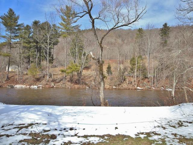House for sale in Roscoe, New York