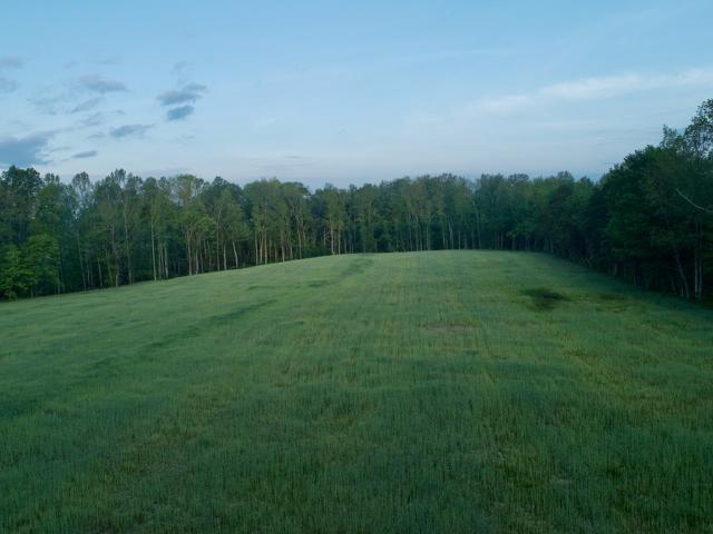 Land for sale in Tennessee