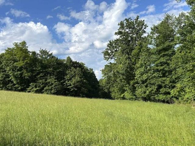 Land for sale in Terra Alta, West Virginia
