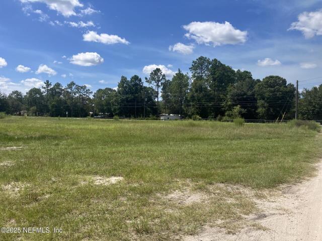 Land for sale in Middleburg, Florida
