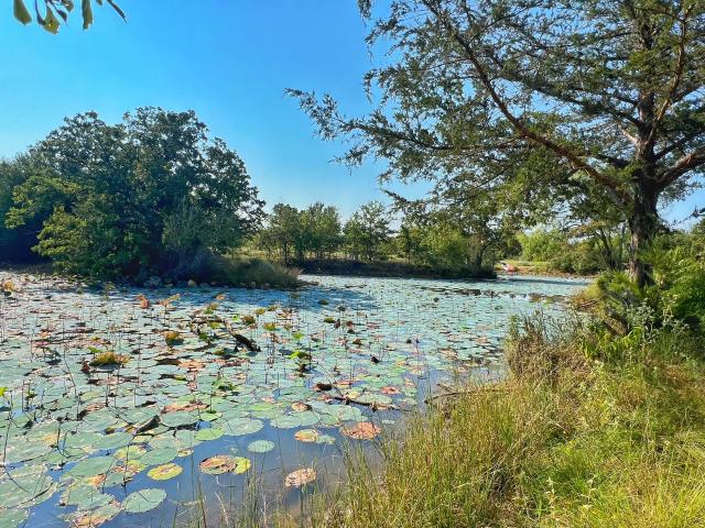Land for sale in Robertson, Texas