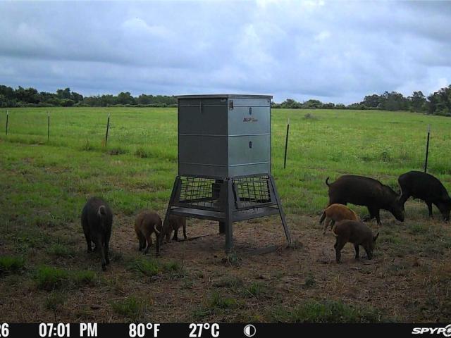 Land for sale in Milam, Texas