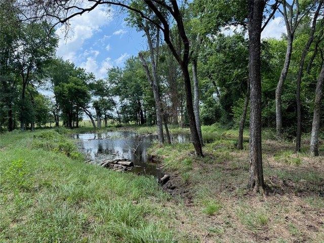 Land for sale in Milam, Texas