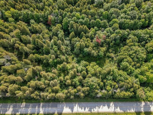 Land for sale in Wellington, Ontario