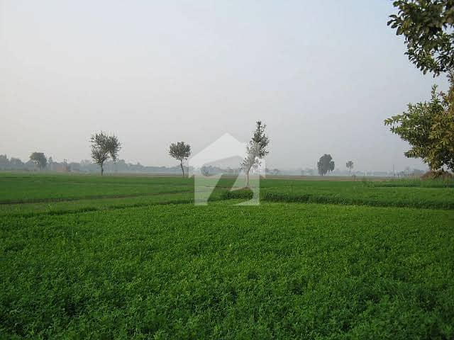 Land for sale in شیخوپورہ, لاہور ڈویژن