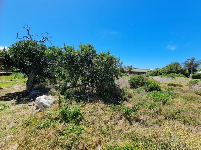 Land for sale in Cape St Francis, Eastern Cape