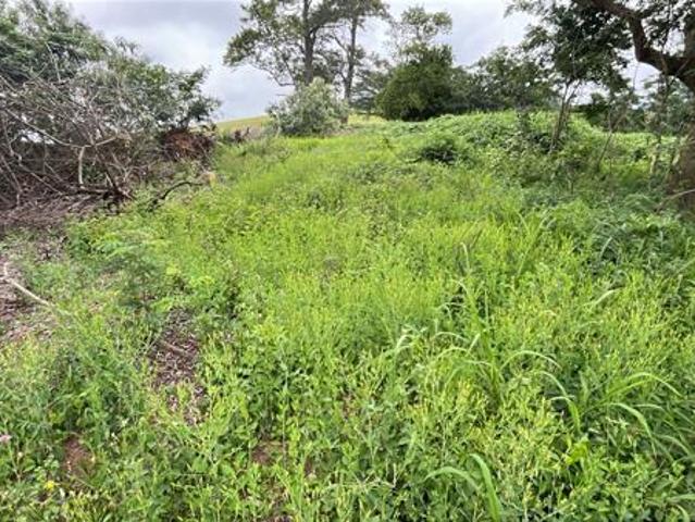Land for sale in Princess Grant, Kwazulu-natal