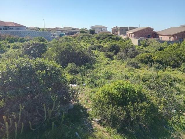 Land for sale in Eastern Cape